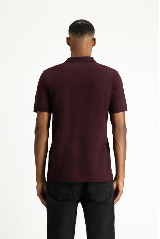 Erkek Giyim - Polo Yaka Regular Fit Nakışlı Pamuk Tişört
